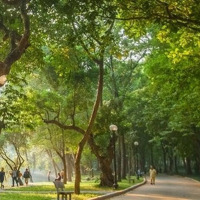 Đầu Tư 10,5 Tỷ - 73M2 Cho Không Gian "Sống Lành" Phố Hoàng Hoa Thám, Ba Đình Giáp Tây Hồ.