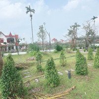 Siêu Phẩm Nhà Vườn Siêu Đẹp Tại Hoà Nghĩa - Dương Kinh - Hp. Bán Mảnh Đất Nhà Vườn Tuyệt Đẹp