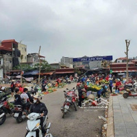 Mở Bán Dự Án Nam Hồng New City Bắc Giang, Giá Chủ Đầu Tư , Chính Sách Quà Tặng Cực Ưu Đãi