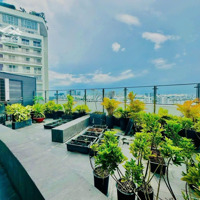 Bán Nhiều Căn Penthouse Riverpark 1 Phú Mỹ Hưng T9/24