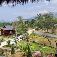 Bán Homestay Nghỉ Dưỡng Tại Xã Tiến Xuân, Thạch Thất 7600M2 View Cao Đẹp, Sẵn Khuôn Viên