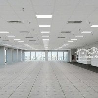 Nhanh Tay Thuê Ngay Văn Phòng Tại Trường Chinh , Điện Tích Từ 50M2,100M2,180M2,1000M2 ,Giá Ưu Đãi