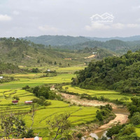 Trung Tâm Thị Trấn Măng Đen, Ngay Trên Trục Đường Đoàn Thị Điểm