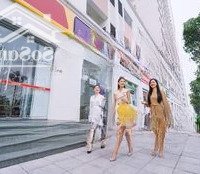 Chính Chủ Cho Thuê Nhanh Căn Shophouse Thương Mại Vừa Kinh Doanh Vừa Ở - 4 Tầng - 243M, Giá Tl