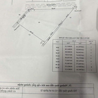 Bán Lô Đất Hơn 3000M2 Mặt Tiền Đường Bình Mỹ - Củ Chi