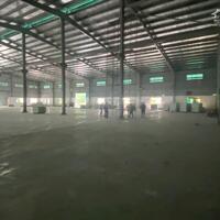 Cho thuê kho xưởng 1.800m2, 2.800m2 trong KCN Nhơn Trạch, huyện Nhơn Trạch, tỉnh Đồng Nai