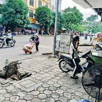 Ct Nhà Mặt Phố Trần Quốc Hoàn, Cầu Giấy 6T, Thông Sàn, Thang Máy: Trung Tâm Đào Tạo, Phòng Khám, Vp