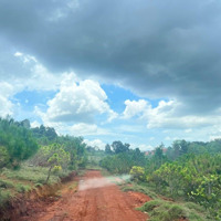 Tôi Chính Chủ Cần Bán 9.900M Đất View Hồ Thích Hợp Nghĩ Dưỡng