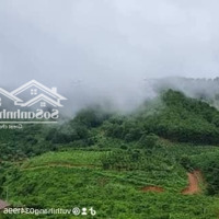 Chỉ 595 Triệu Sở Hữu Ngay 1000M2 View Săn Mây Nghỉ Dưỡng Tại Phi Tô Lâm Hà