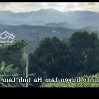 Chỉ 595 Triệu Sở Hữu Ngay 1000M2 View Săn Mây Nghỉ Dưỡng Tại Phi Tô Lâm Hà