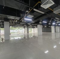 Cho Thuê Mặt Bằng Phố Vĩnh Hoàng- Hoàng Mai, Diện Tích Từ 250M - 1300M2