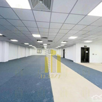 Cho Thuê Văn Phòng Mặt Tiền Trần Não Từ 100M2-200M2 Đến 755M2