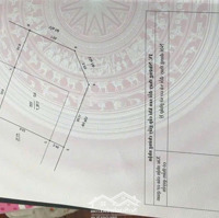 Bán Rẻ Biệt Thự Lô Góc Siêu Đẹp Sát Vin Cổ Loa 4 Tầng 177M2 Đã Hoàn Thiện, Cho Thuê, Kinh Doanh Tốt