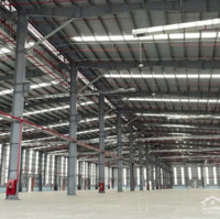 Cho Thuê Kho Xưởng 24000M2 Giá Tốt Cụm Công Nghiệp Cần Đước, Long An