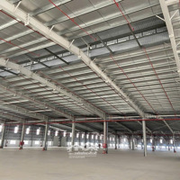 Cho Thuê Kho Xưởng 24000M2 Giá Tốt Cụm Công Nghiệp Cần Đước, Long An