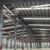 Cho Thuê Kho Xưởng 24000M2 Giá Tốt Cụm Công Nghiệp Cần Đước, Long An