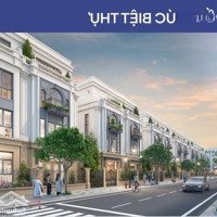 Bán Liền Kê, Shophouse Quỹ Căn Ngoại Giao Vinhomes Cổ Loa Đơn Giá Chỉ Từ 250 Triệu/M - 290 Triệu/M