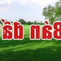 Cần Bán Đất Đàm Quang Trung Long Biên Hà Nội