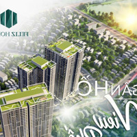 Bán Quỹ Căn Chuyển Nhượng Giá Tốt Nhất Dự Án Feliz Homes. Diện Tích Từ 44,63,65,76,77,108,114M.