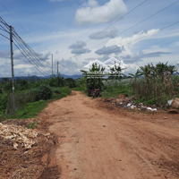 Bán 1Ha Đất Vàng, View Thoáng, Tiềm Năng Khai Thác Lớn, Giá Thương Lượng! Đức Trọng, Lâm Đồng.