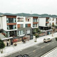 Bán Lô Biệt Thự Dự 300M2 Dự Án Phương Đông Vân Đồn Sổ Đỏ Lâu Dài