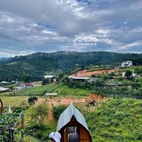 Cho Thuê Homestay Đạ Nhim , Lạc Dương . Homestay Đẹp ,Mới , Kinh Doanh Được Liền . Liên Hệ: 0905211133