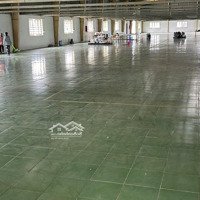 Cho Thuê Nhà Xưởng 2912(M2) Tại Ấp Hậu Hòa, Xã Đức Hòa Thượng, Đức Hòa, Long An