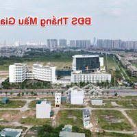 Chính Chủ Bán 105M2 Lô Góc Mặt Đường To, View Hồ Đất Dịch Vụ An Thượng, Hoài Đức, Hà Nội