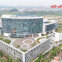 Chính Chủ Bán 105M2 Lô Góc Mặt Đường To, View Hồ Đất Dịch Vụ An Thượng, Hoài Đức, Hà Nội