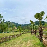 Bán Đất 3,7Ha Ngọc Thanh, Phúc Yên, Vĩnh Phúc. Không Khí Trong Lành Suối Chảy Quanh Năm.