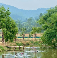 Bán Đất 3,7Ha Ngọc Thanh, Phúc Yên, Vĩnh Phúc. Không Khí Trong Lành Suối Chảy Quanh Năm.