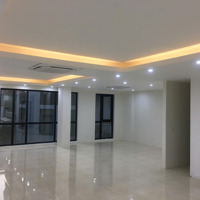 Siêu Ưu Đãi, Văn Phòng Siêu Đẹp, Diện Tích: 100M2 Tại Phố Nguyễn Khang, Cầu Giấy. Lhcc 0338 867 ***