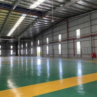 Cho Thuê Xưởng 4300M2 Trong Kcn Visip 2 Bình Dương