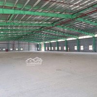 Cho Thuê Xưởng 55.000M2 Tại Kcn Bình Phước