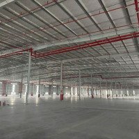 Cho Thuê Xưởng 50.000M2 Trong Kcn Bầu Bàng Bình Dương