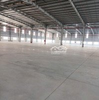 Cho Thuê Xưởng 50.000M2 Trong Kcn Bầu Bàng Bình Dương