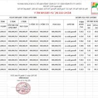 lô đất thành mỹ full thổ 128m2 cư chỉ từ 180tr