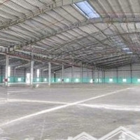 Cho Thuê Nhà Xưởng 12.000M2 Tân Uyên Bình Dương