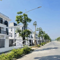 Duy Nhất Căn Biệt Thự Song Lập 300M2 Dtxd: 447M2, Hướng Đông Nam, Chỉ 5X Triệu/M2, Tiến Độ 60%.