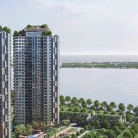 Nhượng Căn Hộ Đẹp Tại Chung Cư Cao Cấp Eco Central Park Thành Phố Vinh, Giá Gốc Chủ Đầu Tư