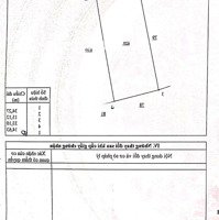 Chính Chủ Cần Ra Lô Đất Biệt Thự Nằm Ngay Đường Nhựa Lớn Quách Thị Trang