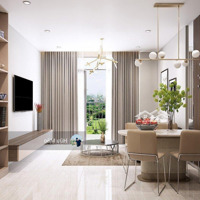 Cho Thuê Chcc Terra Royal, Quận 3,Diện Tích58M2, 75M2, 2 Phòng Ngủ Giá Chỉ Từ 16 Triệu/Tháng. Liên Hệ: 0899 874 805