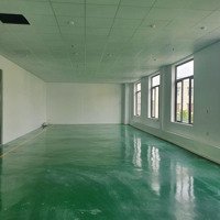 Cho Thuê Văn Phòng Từ 50M2 Đến 250M2 Tại Ngô Quyền - Tp Hải Dương