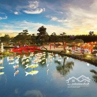 3N Chỉ Từ 60 Triệu/M2 Tại Sola Park