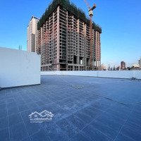 Cho Thuê 450M2 Sân Thượng (Rooftop) Tại Tòa Nhà Halo Cô Bắc Q1. Giá Chỉ 220 Triệu/Tháng