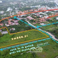 Siêu Đất Vàng 12890M2 Gần Sân Bay Long Thành Giá Tốt Có Một Không Hai Đừng Bỏ Lỡ