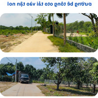 Kẹt Ngân Hàng Bán Gấp: 1,390 Tỷ/1.100M2 Tại Đường 101, Quốc Lộ 20, Xã La Ngà, Ngay Ubnd Xã La Ngà