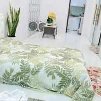 Nhà Đẹp 40M2 Tầng 1 Phạm Hồng Thái Ba Đình, Khép Kín, Ở & Học Hành, Homestay, Sđcc, Chỉ 2.85 Tỷ