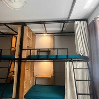 Kí Túc Xá Nam Mới 100%. Đi Bộ Qua Đh Văn Lang Cs3. Dorm 4 Người. Rộng Thoáng.