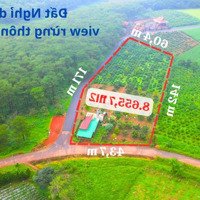 Chỉ 2,3 Tỷ/1.000M2 Đất Siêu Đẹp View Rừng Thông Và Đồi Chè Tâm Châu Bảo Lộc